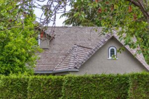 Shingle Roof